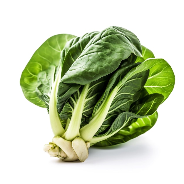 Un bok choy frondoso verde aislado en fondo blanco.