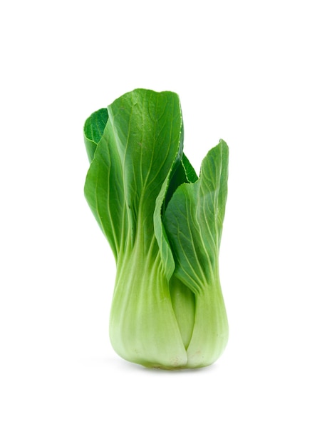 Bok Choy Gemüse isoliert auf weißem Hintergrund hautnah