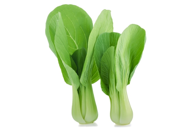 Bok Choy-Gemüse lokalisiert auf dem Weiß.