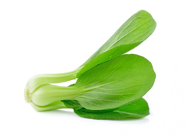 Bok Choy Gemüse lokalisiert auf dem weißen Hintergrund