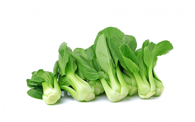 Bok Choy Gemüse