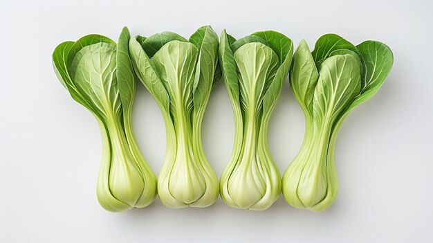 Bok choy o pak choy repollo asiático HD 8K papel tapiz de las fotografías de stock