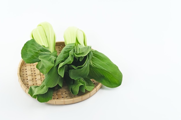 Bok choy orgânico e fresco ou pak choi ou pakcoy Brassica rapa subsp chinensis vegetais