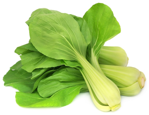 Bok Choy orgânico sobre fundo branco