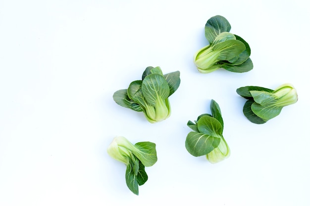 Bok choy en la pared blanca.