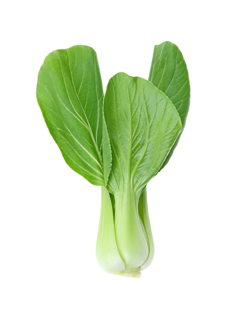 Bok choy (repolho chinês) isolado no branco