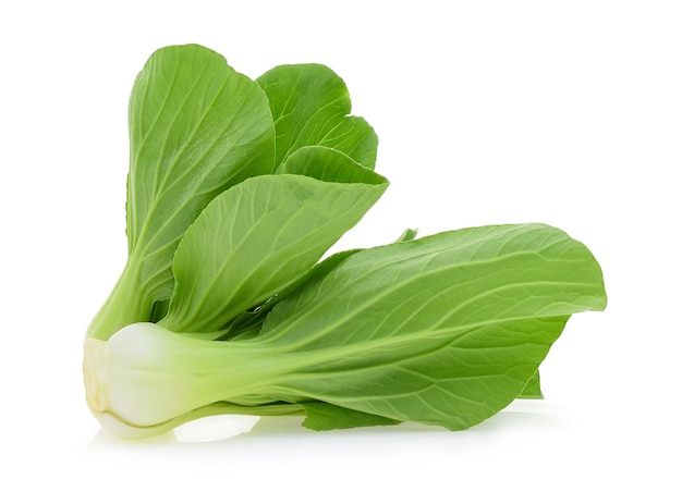 Bok choy (repolho chinês) isolado