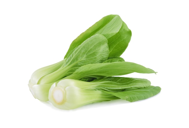 Bok choy (repollo chino) aislado en blanco