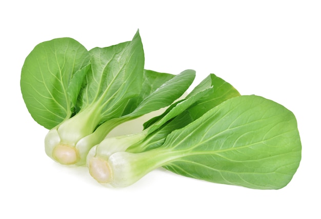 Bok choy (repollo chino) aislado