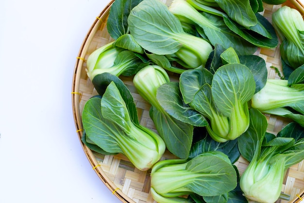 Bok choy sobre fondo blanco.