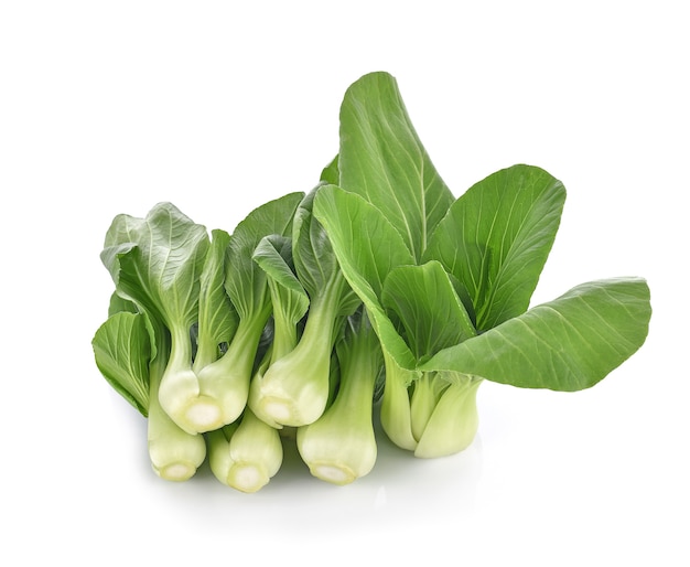 Bok choy vegetais no fundo branco