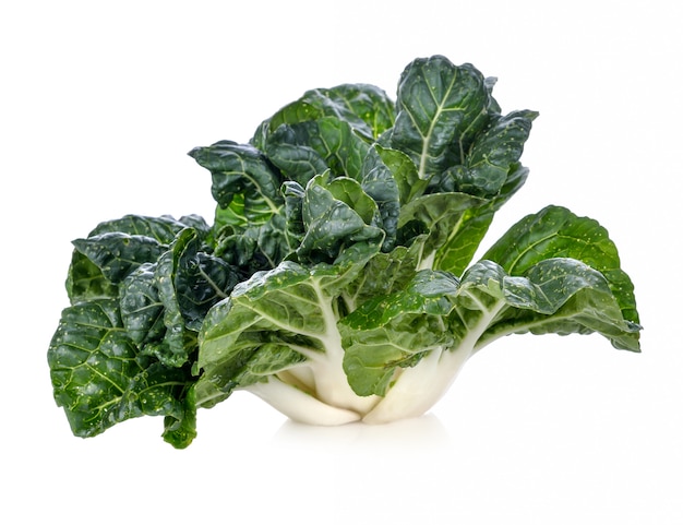 Bok choy vegetal aislado en el blanco