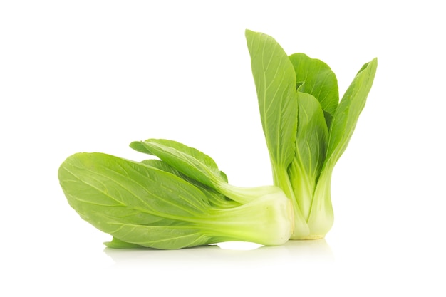 Bok choy vegetal aislado en el fondo blanco