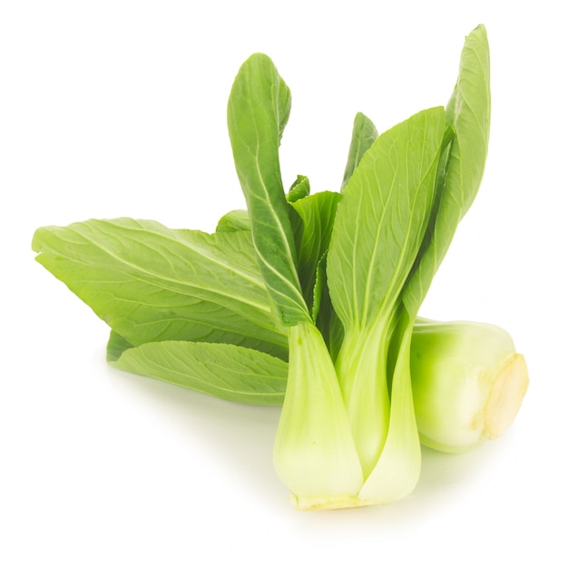 Bok choy vegetal aislado en el fondo blanco