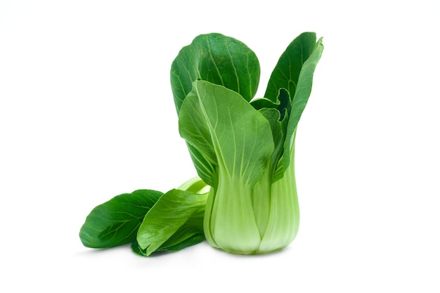 Bok choy vegetal aislado sobre fondo blanco de cerca