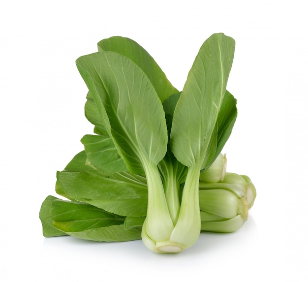 Bok Choy vegetal sobre fondo blanco.