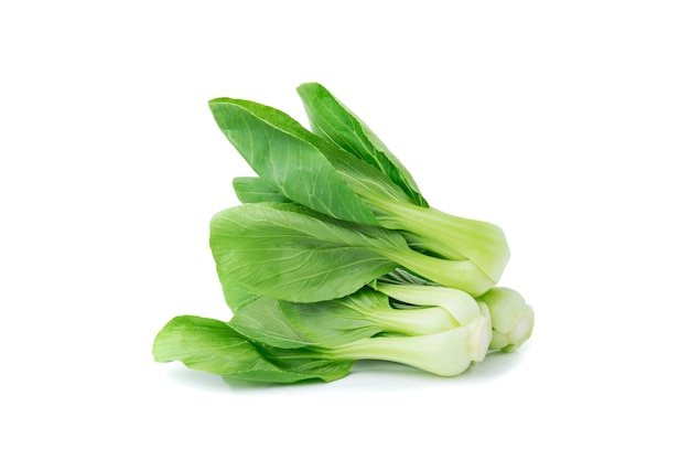 Bok choy vegetal sobre superficie blanca