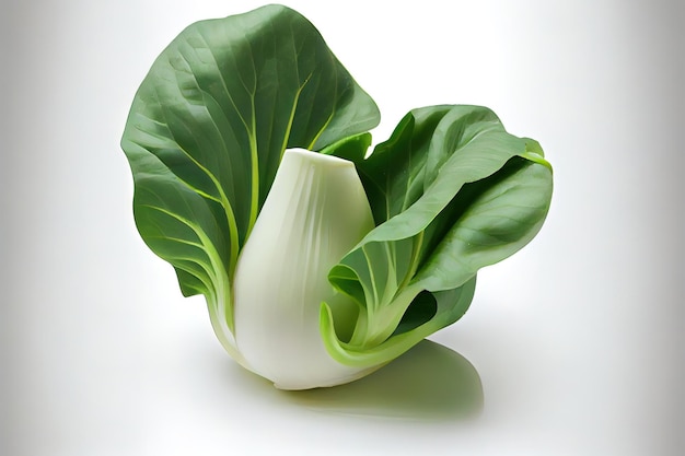 Bok Choy Vegetariano Um natural