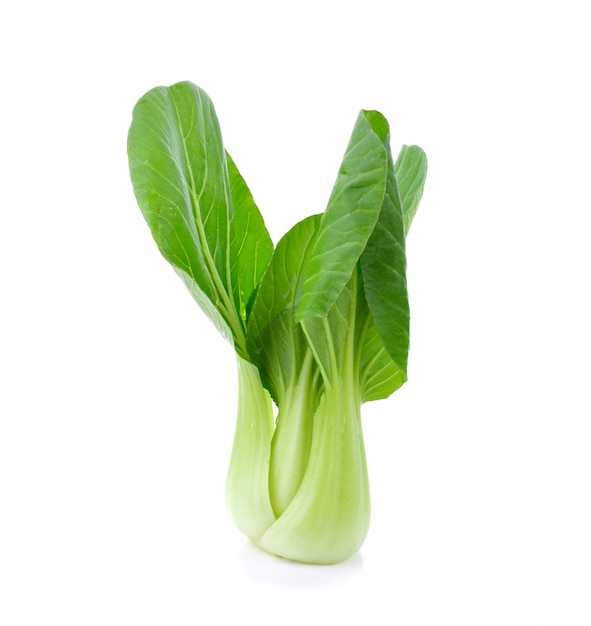 Bok Choy verde vegetal aislado sobre fondo blanco.