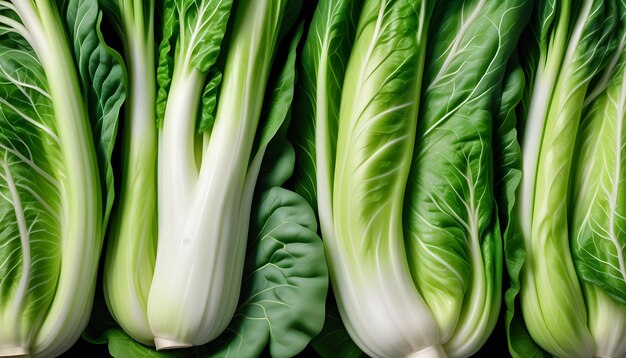 El bok choy