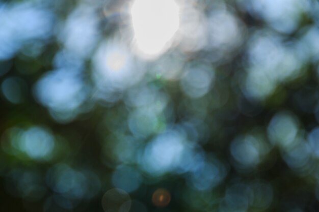 Bokeh abstracto y fondo de naturaleza verde borrosa