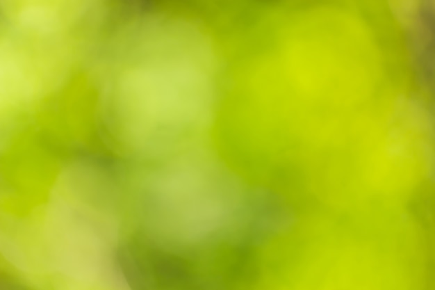 Foto bokeh abstrata e fundo verde natureza turva