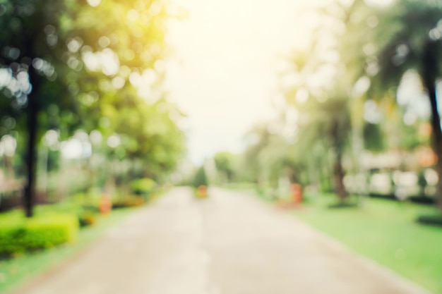 Bokeh desenfocado y fondo borroso de árboles de jardín a la luz del sol con tonos vintage