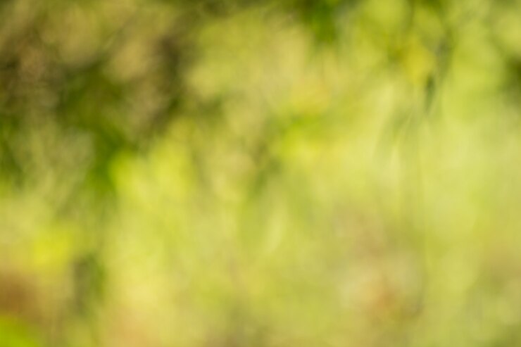 Foto bokeh für naturhintergrund