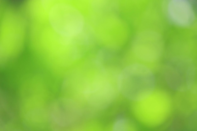 Bokeh grüne Natur Dezenter Hintergrund im abstrakten Stil für Grafikdesign