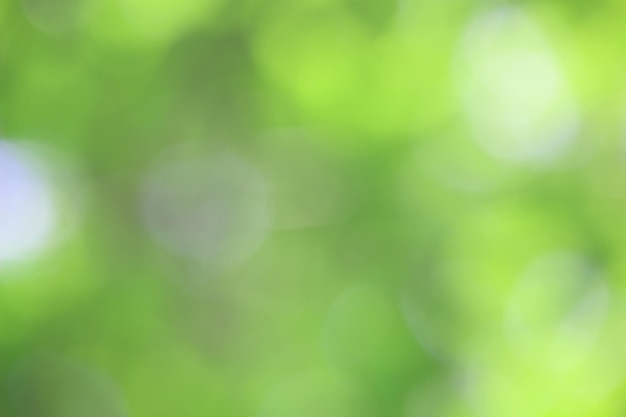 Bokeh grüne Natur Dezenter Hintergrund im abstrakten Stil für Grafikdesign