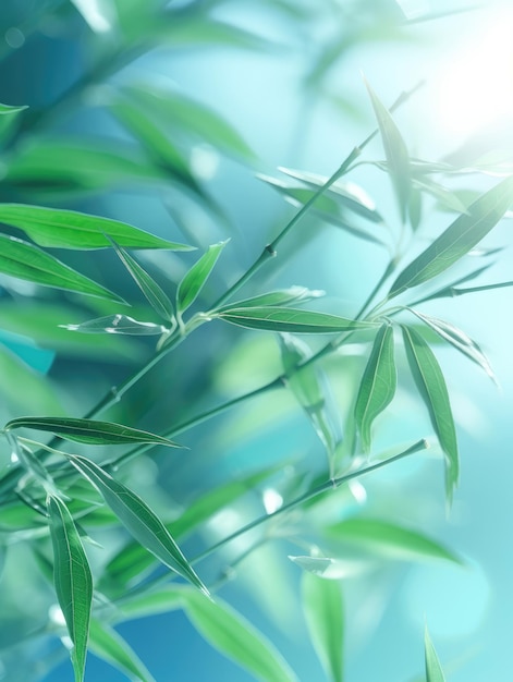 Bokeh-Hintergrund aus grünen Blättern