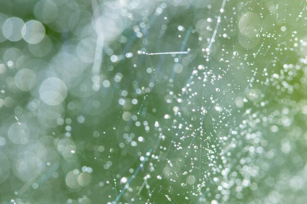 Bokeh Hintergrund vom natürlichen Licht