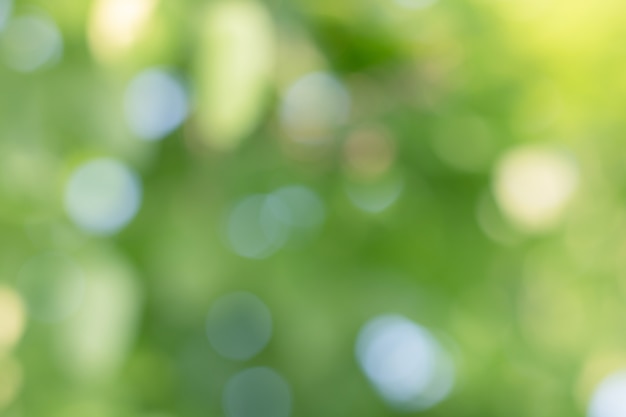 Bokeh de hojas de árbol para el fondo de la naturaleza y guardar el concepto verde