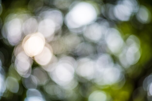 Bokeh (en inglés)