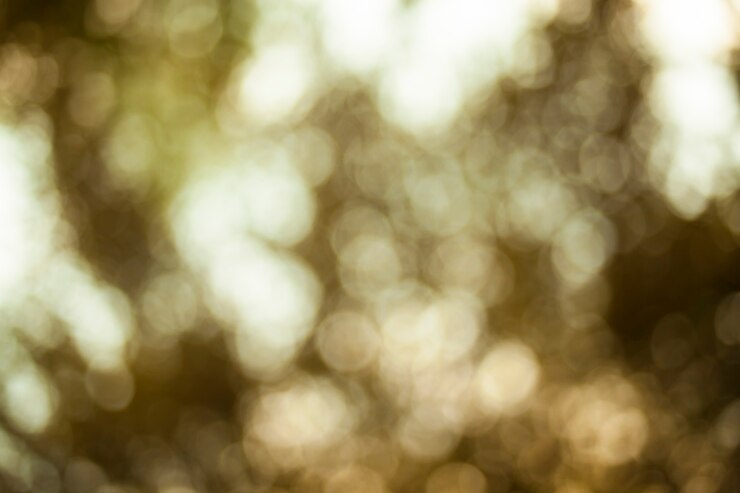 Foto bokeh natural borroso.