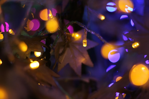 Bokeh de navidad