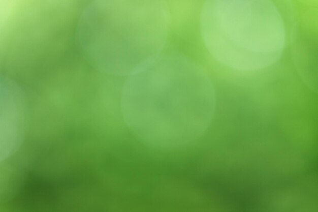 Bokeh de plantas verdes borroso fondo ecológico