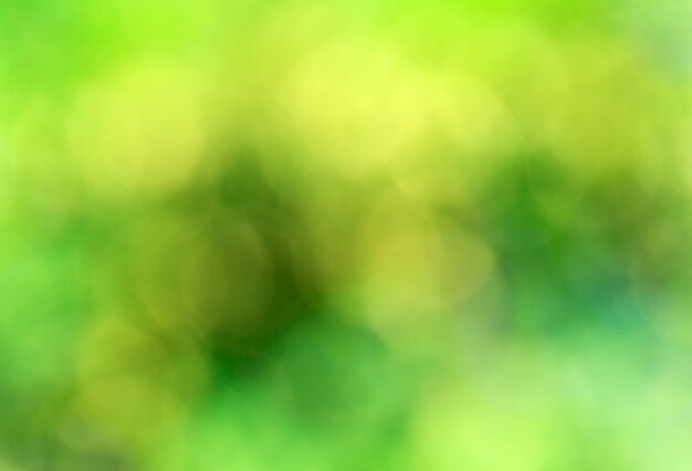 Foto bokeh verde luz abstrata