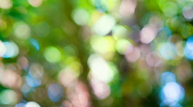 Bokeh verde na natureza defocus Resumo desfocar o fundo