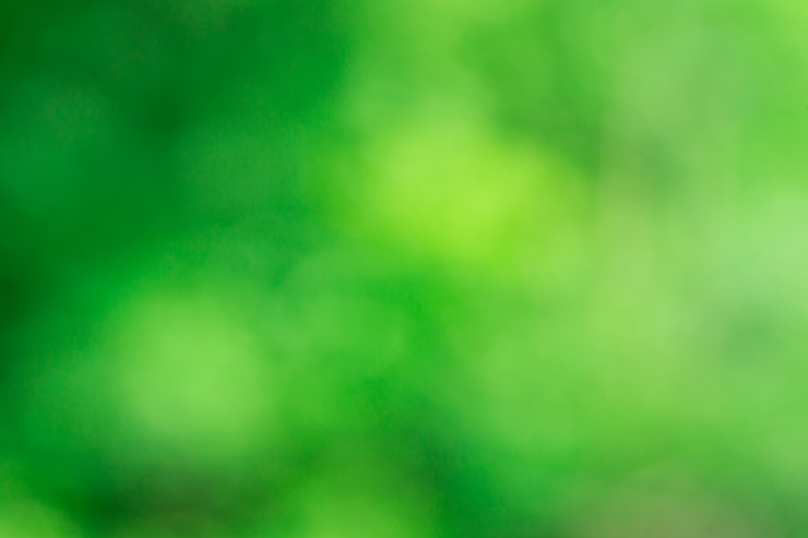 Foto bokeh verde textura
