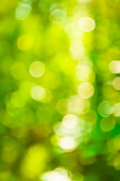 Bokeh verde