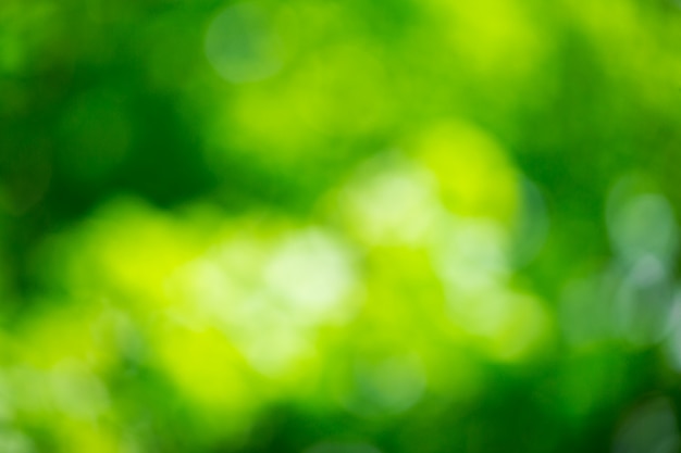 Bokeh verde