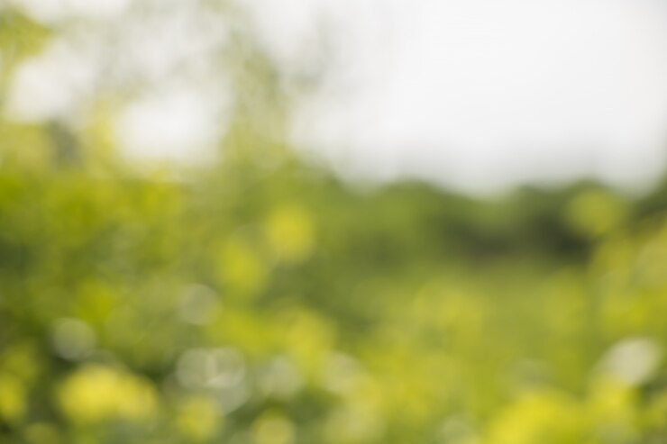 Bokeh von Baum-Blättern für Naturhintergrund