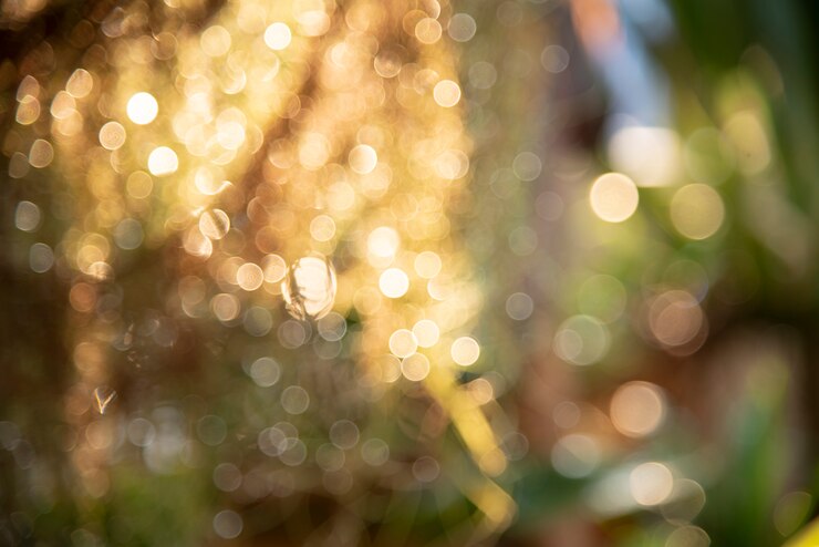 Foto bokeh.