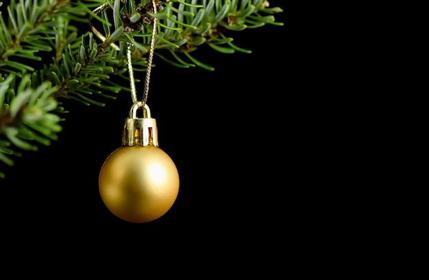 Foto bola amarilla en una rama verde de un árbol de navidad aislado en un fondo negro