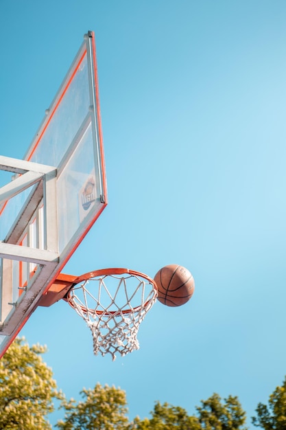 Bola de aro de baloncesto en la red