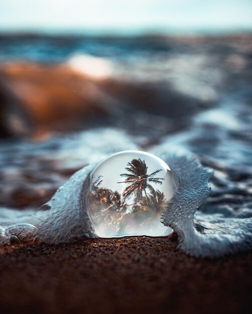 Bola de cristal en la orilla con palmeras del reflejo de la playa desde el lado de la costa de puerto rico.