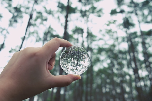 Bola de cristal salva el planeta limpio