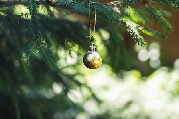 Bola de brinquedo de Natal dourada pendurado no galho de uma árvore de peles