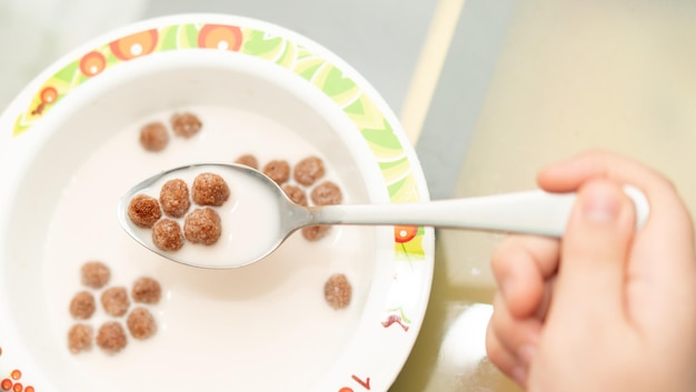 Bola de cereais de chocolate no leite no café da manhã